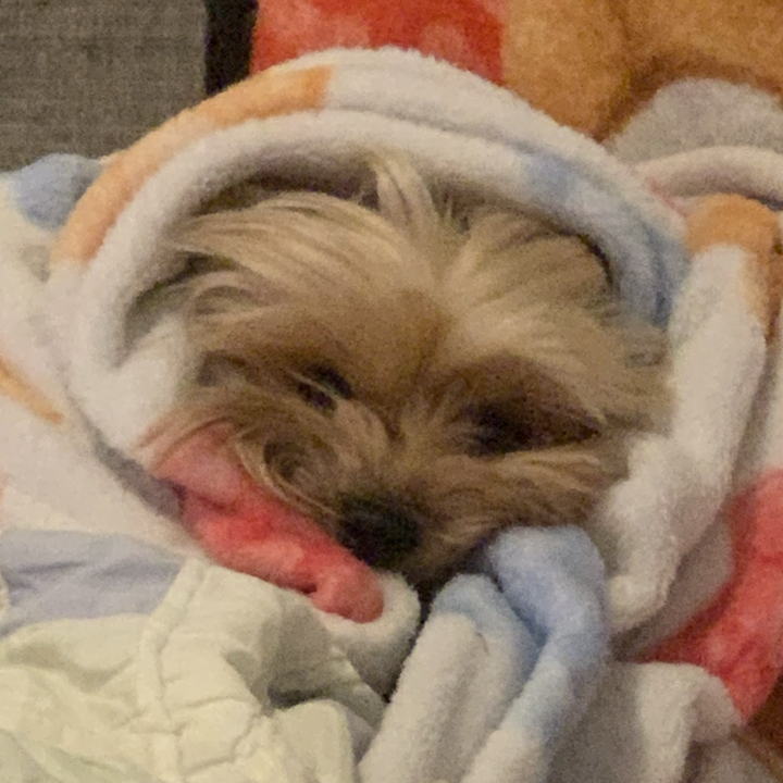 Emmie
