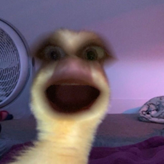 EbbaH