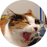 SansPepin
