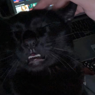 Gigglesfart