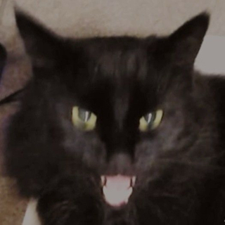 He