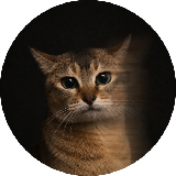Wiktor