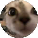 BiaAkaMaria